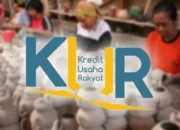 Akses Kredit Usaha Rakyat di Brebes untuk UMKM Tangguh