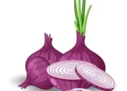 Perkembangan Industri Bawang Merah Brebes Terus Kenaikan