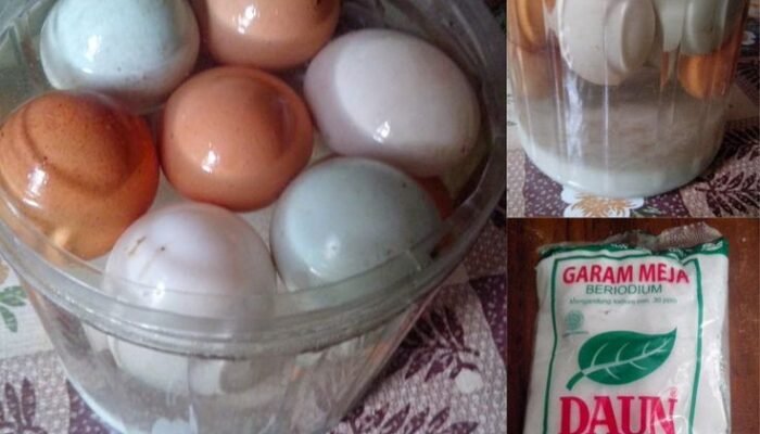 Tahapan Proses Penggaraman Telur: Perbandingan Garam, Lama Rendam, dan Tips Hasil Asin yang Merata