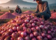 Sentra Bawang Merah Indonesia: Rahasia Pasokan Nasional dari Daerah Ini!