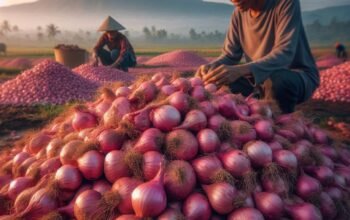 Sentra Bawang Merah Indonesia: Rahasia Pasokan Nasional dari Daerah Ini!