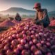 Sentra Bawang Merah Indonesia: Rahasia Pasokan Nasional dari Daerah Ini!