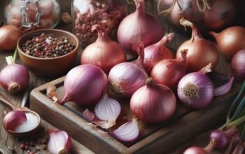 Cara Pengawetan Bawang Merah yang Benar agar Awet Lama, Tidak Busuk, dan Siap Digunakan Saat Memasak