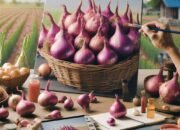 Cara Efektif Memasarkan Bawang Merah: Strategi Digital dan Konvensional untuk Petani dan UMKM