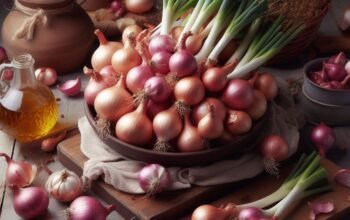 Menyelami Cita Rasa Khas Bawang Merah Lokal Nusantara yang Menguatkan Aroma dan Rasa Masakan Tradisional