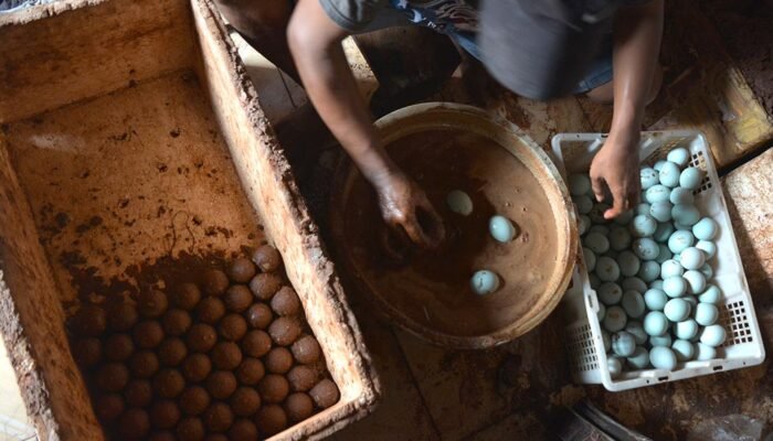 Cara Membuat Telur Asin Menggunakan Batu Bata dan Garam: Teknik Alternatif yang Mudah dan Tahan Lama