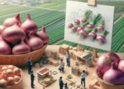 Potensi UMKM Bawang Merah: Dari Budidaya, Olahan, hingga Pemasaran di Pasar Lokal dan Nasional