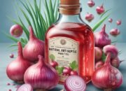 Sifat Antiseptik Alami pada Bawang Merah: Cegah Infeksi Luka Ringan dan Lawan Mikroba secara Efektif