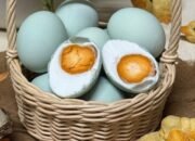 Alternatif Membuat Telur Asin Tanpa Tanah Liat: Gunakan Plastik, Air Garam, atau Abu Gosok Lebih Praktis