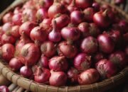 Tips Jitu Membedakan Bawang Merah Berkualitas di Pasar Tradisional dan Modern