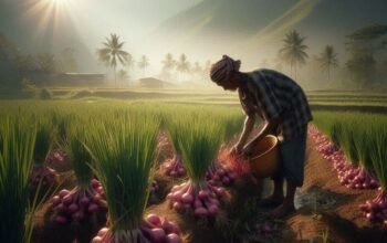 Cara Menentukan Masa Panen Bawang Merah Secara Tepat dan Menguntungkan