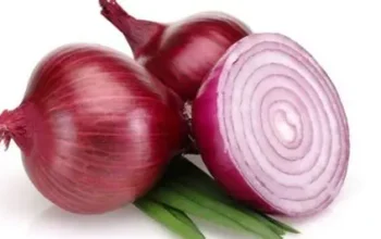 Peta Sentra Bawang Merah di Jawa Tengah: Dari Brebes ke Temanggung, Ini Daerah Penghasil Terbesar di Indonesia