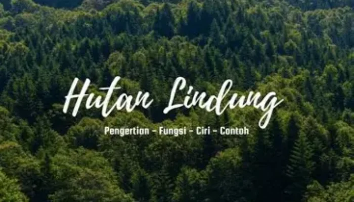 Keindahan dan Peran Hutan Lindung Indonesia dalam Menjaga Kelestarian Flora Endemik yang Terancam Punah