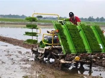 Inovasi Pertanian di Wilayah Brebes yang Dorong Kemajuan