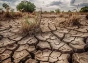 Strategi Efektif Hadapi Kekeringan Ekstrem di Musim Kemarau