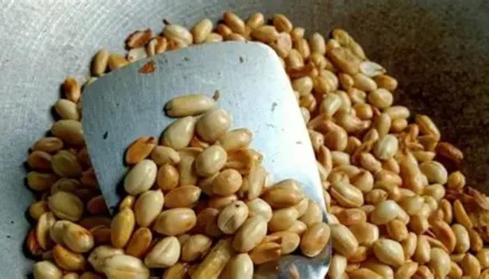 Kacang Brebes Sangrai: Camilan Legendaris yang Gurih, Renyah, dan Menggoda Selera Pecinta Kacang di Seluruh Indonesia