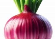 Harga Bawang Merah Petani Brebes erpengaruh Ekonomi Lokal