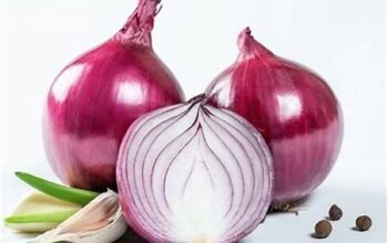 Mengenal Desa Penghasil Bawang Merah Berkualitas Tinggi di Indonesia: Potensi, Teknik Budidaya, dan Dampak Ekonomi Lokal