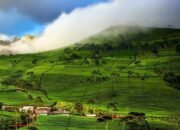 10 Spot Foto Instagramable di Brebes yang Wajib Masuk Feed Kamu!